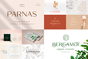 Sans Serif Bundle, a Sans Serif Font by Larin Type Co. (Thumbnail 11 of 12)