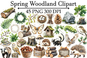 Spring Woodland Clipart, an Illustration by Design Market