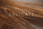 Delicate | 20 Feather Photos, a Nature Photo by Melanie Helena (Thumbnail 15 of 20)