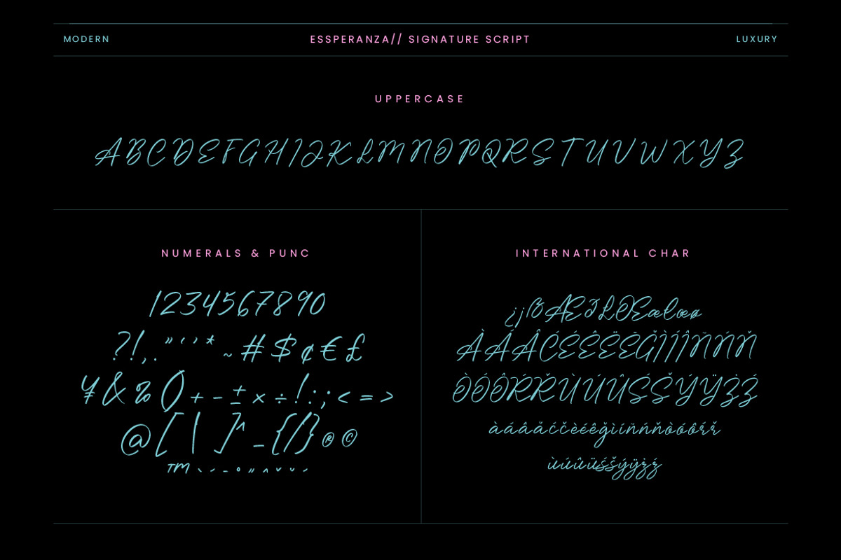 Essperanza Stylish Signature Script, a Script Font by Creatype Studio (Photo 8 of 9)
