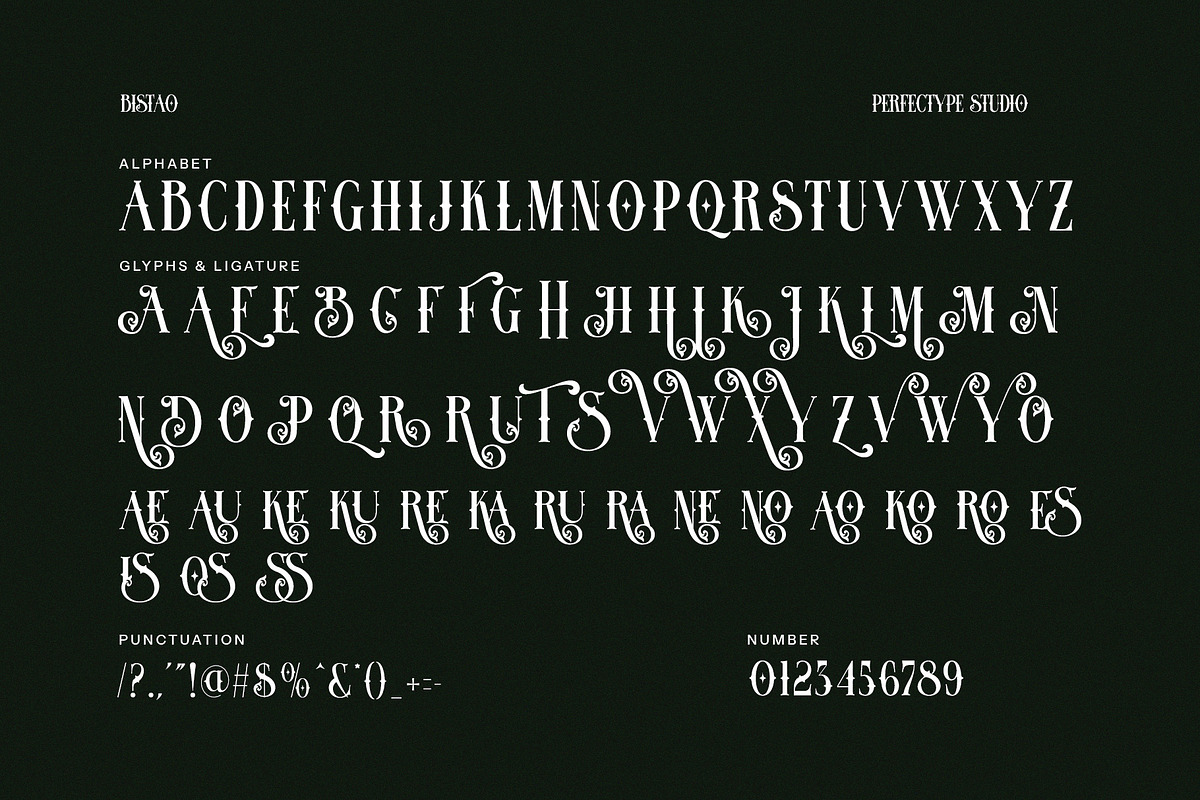 Blistao Tatto Serif Font, a Serif Font by Perfectype (Photo 7 of 8)
