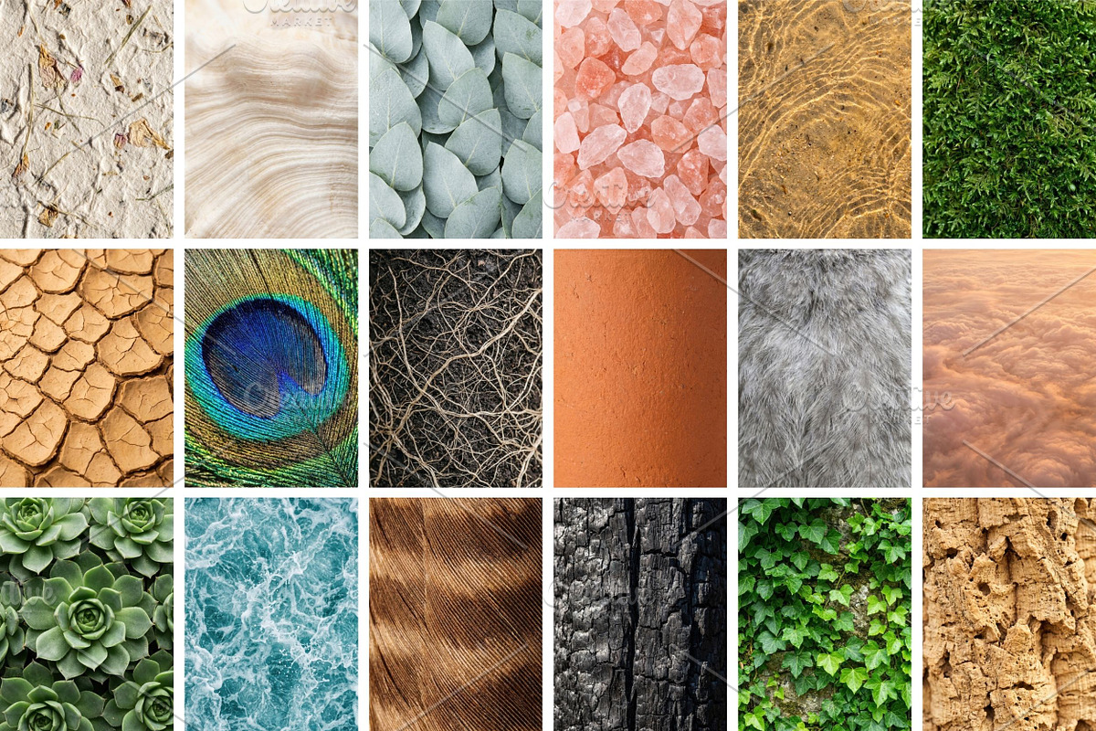 100 Organic Nature Texture, a Background Photo by Selenique Studio (Photo 10 of 10)