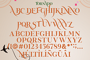 Tornado – Modern Serif Font, a Serif Font by 177Studio (Thumbnail 3 of 5)