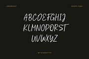 Harvest Bailey Font Duo, a Handwritten Font by UICreative (Thumbnail 6 of 13)