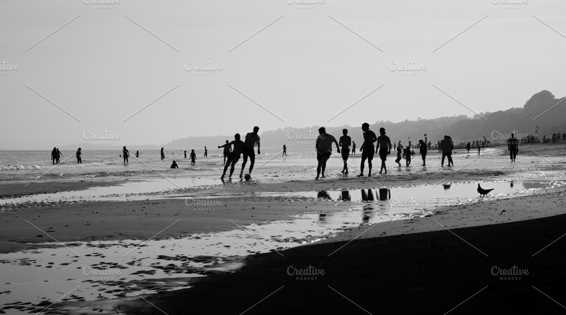 Life On The Beach