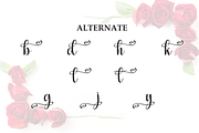 February | Script Font, a Handwritten Font by Scratchones (Thumbnail 8 of 9)