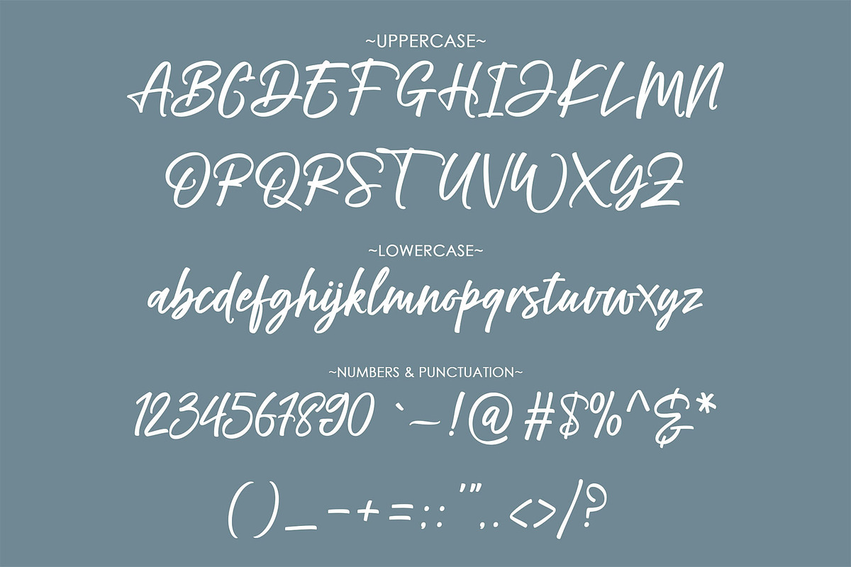 Rambow Script, a Script Font by moriztype (Photo 7 of 8)