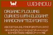 Sweet Emotion Font, a Serif Font by weknow (Thumbnail 2 of 8)