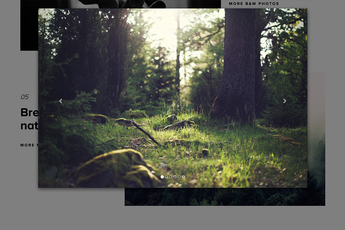 Photo Studio - Portfolio, a HTML Template by Storytics (Photo 3 of 5)