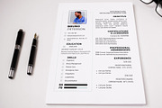 Nurse Resume Template, Modern CV, a Resume Template by MediaKitTemplates (Thumbnail 5 of 11)