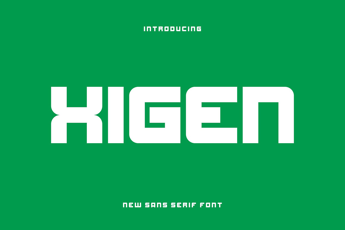 Xigen, a Sans Serif Font by riotama85 (Photo 1 of 5)