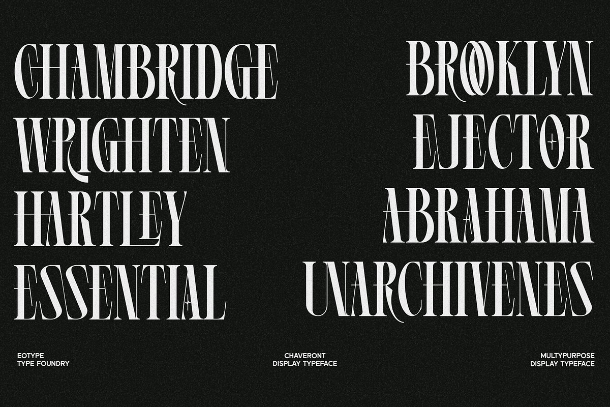 Chaveront, a Serif Font by Eotype Studio (Photo 2 of 14)