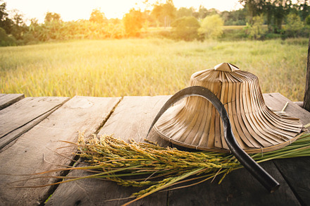 sickle and old hat on wood, a Nature Photo by sawitree