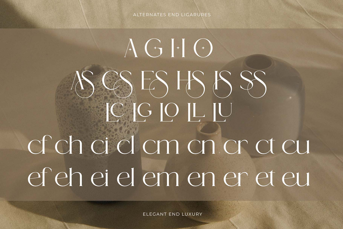 Verloise – Luxury Modern Serif Font, a Serif Font by Muflieart (Photo 9 of 10)