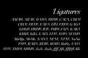 Ceciliany Serif Font Family, a Serif Font by Ryul Davidson (Thumbnail 15 of 25)