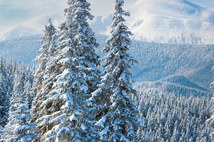 winter mountain landscape, a Nature Photo by YuriyB