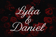 De Lesa Paquetts Classic Script Font, a Script Font by Maulana Creative (Thumbnail 7 of 7)