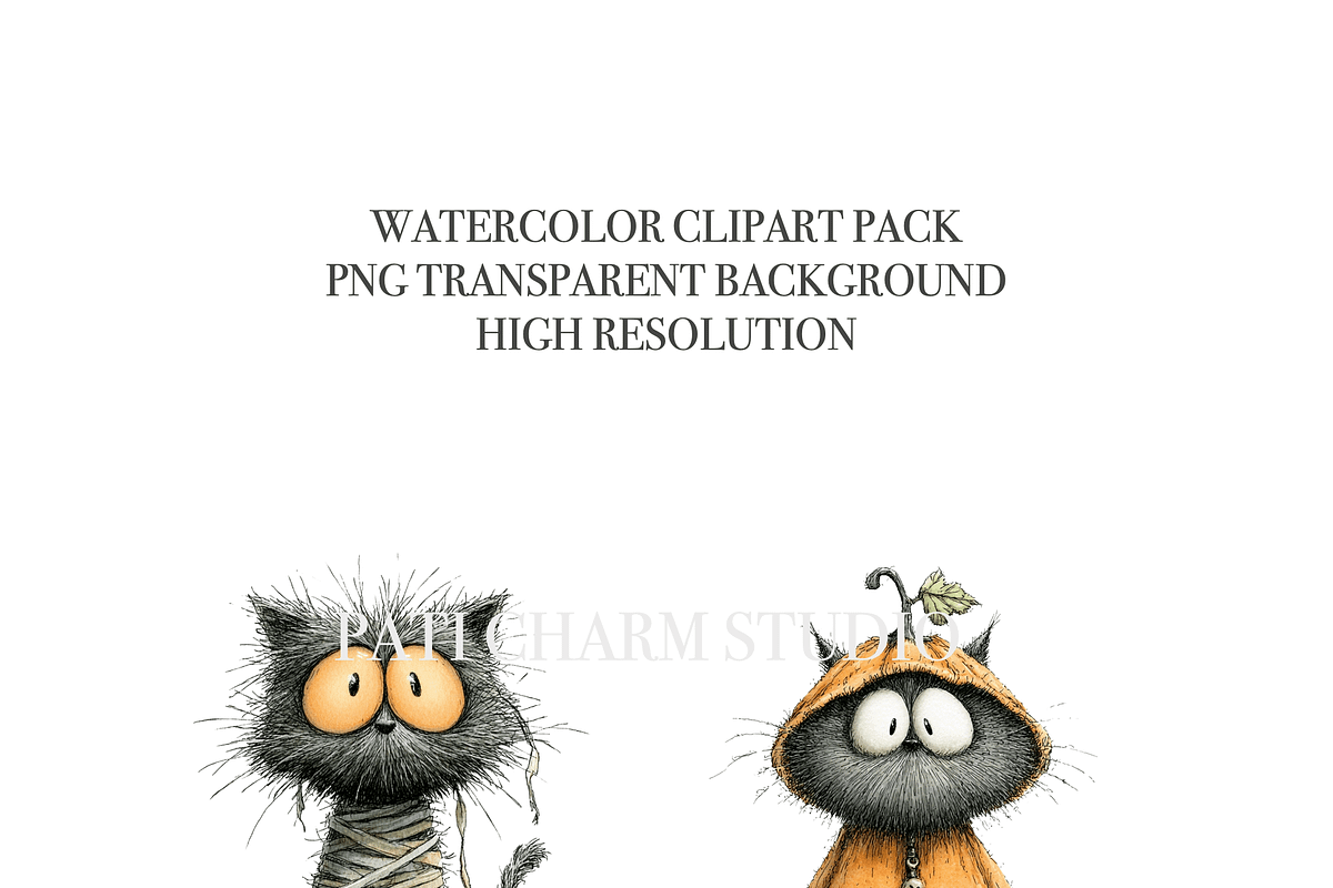 14 Quirky Cat, an Animal Illustration by Pati Charm Studio (Photo 4 of 8)