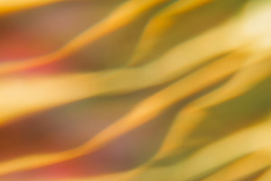 Blurred light flare gleam background wave texture, a Background Photo by Photo Drive Studio