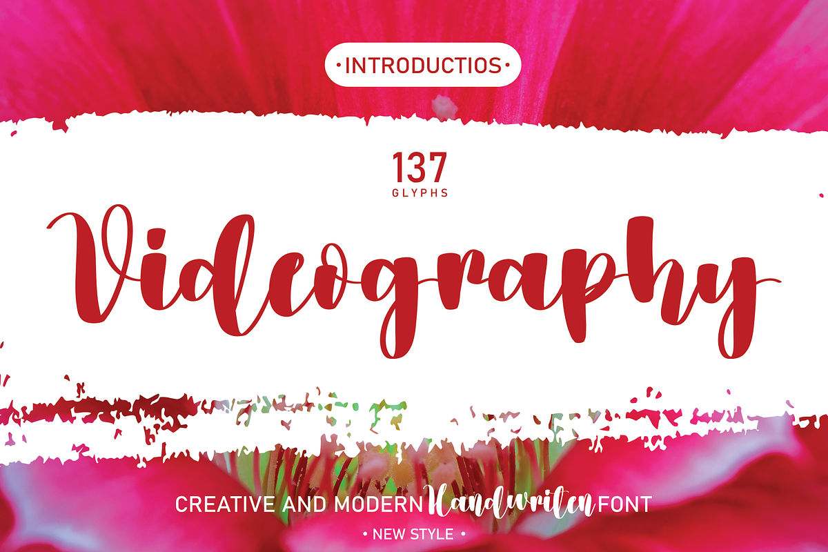 Beautifull Mega Bundles Font, a Script Font by Scratchones (Photo 14 of 25)