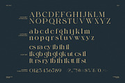 Gagies Modern Serif Font, a Serif Font by Perfectype (Thumbnail 8 of 8)
