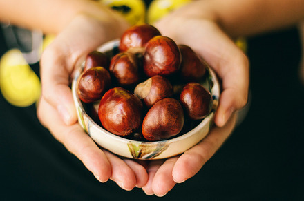 Chestnut stock photo containing chestnut and nut
