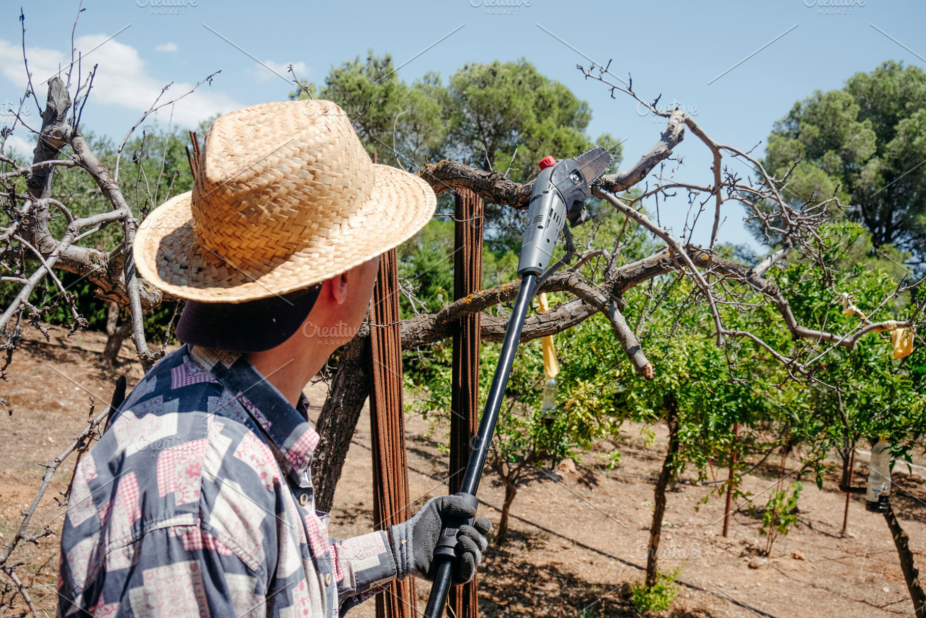 a man trims a tree with a telescopic pruning chainsaw, a Photo by Nito
