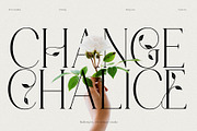 Mallong Typeface, a Serif Font by alit design (Thumbnail 3 of 17)