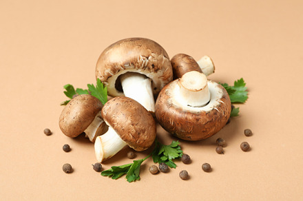 Concept of tasty food with champignon on beige, a Food & Drink Photo by AtlasStudio PRO