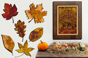 Autumn Leaves Procreate Stamp Set