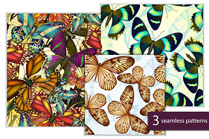 Vector Butterflies Seamless Pattern