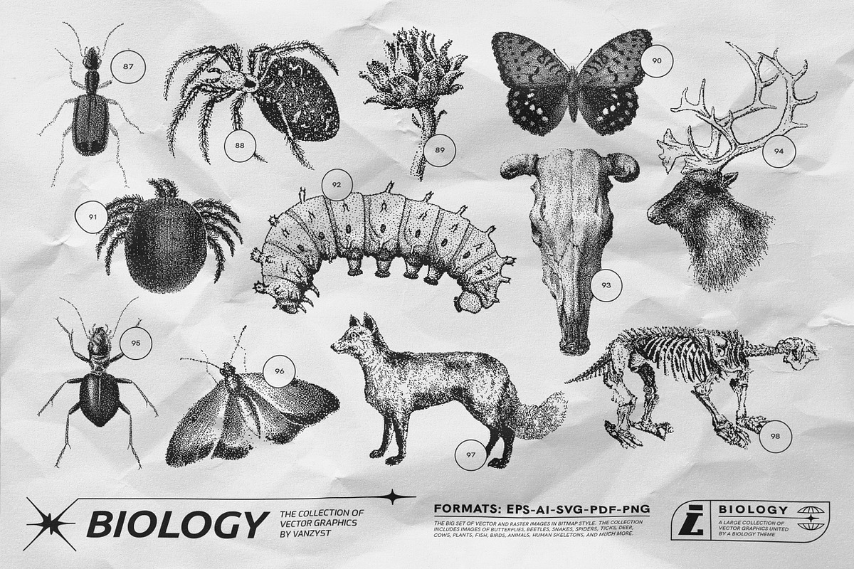 125 Vector Bitmap Assets. Biology, a Graphic by Vanzyst (Photo 9 of 16)