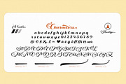Winston Script, a Script Font by Areatype (Thumbnail 5 of 7)