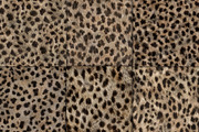 Realistic Leopard Fur Texture, a Pattern Graphic by Artonix (Thumbnail 2 of 3)