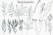Butterflies and floral collection., an Illustration by TaPilipa (Thumbnail 4 of 13)