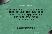 Oldish - A Modern Vintage Font, a Serif Font by overlaytemplates (Thumbnail 4 of 5)