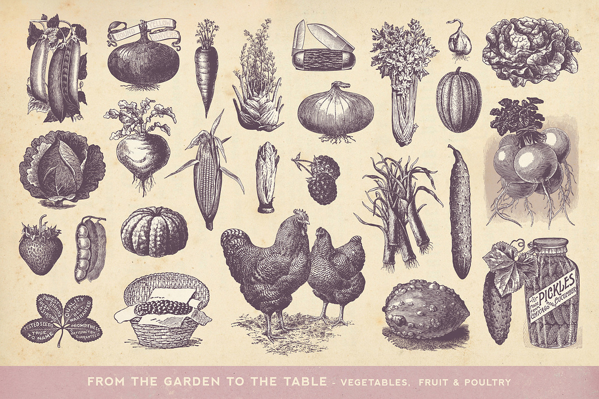 SALE! 100 Garden Illustrations, an Object Illustration by Anja Kaiser (Photo 5 of 8)