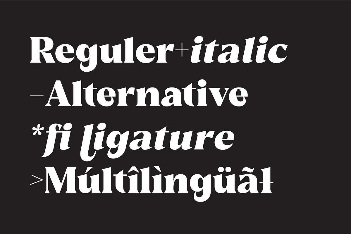 Reshiga - Serif Font, a Serif Font by limitype (Photo 7 of 13)