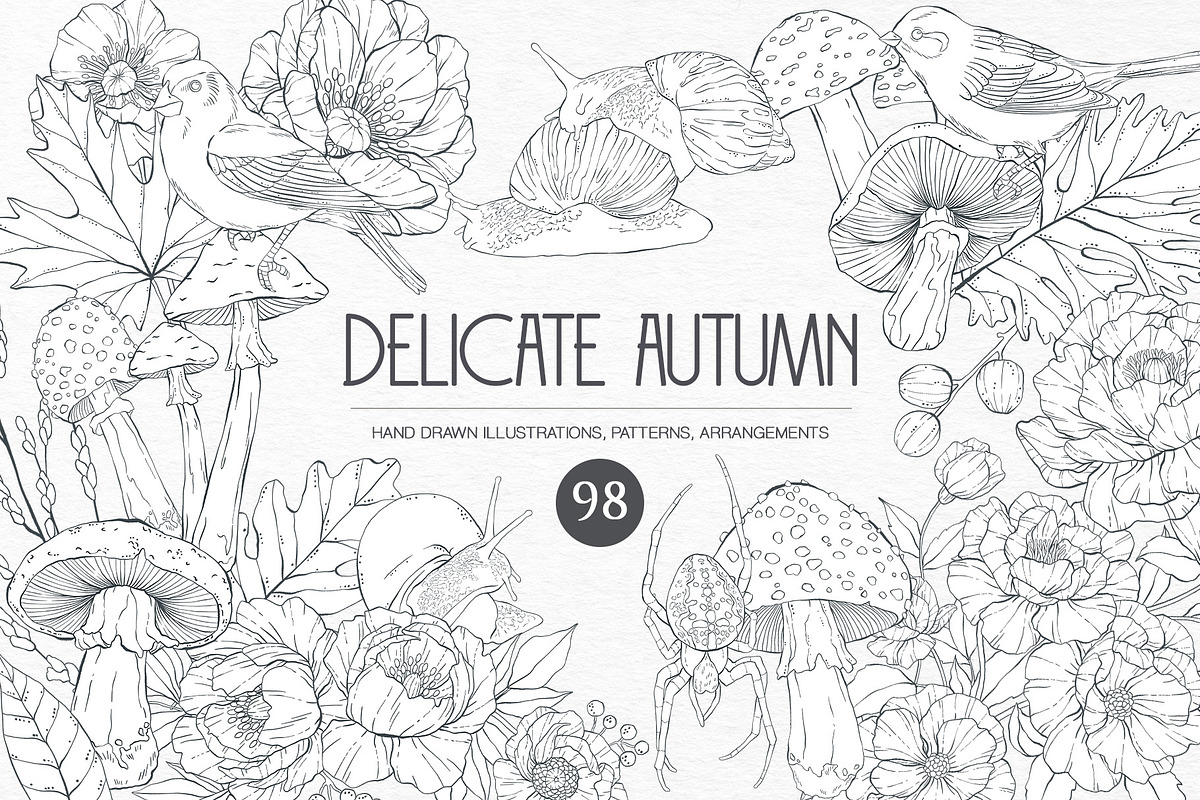 Delicate Autumn Collection, a Seasonal Illustration by GVGraphics (Photo 1 of 15)