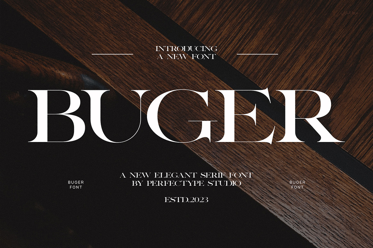 Buger Elegant Serif Font Typeface, a Serif Font by Perfectype (Photo 1 of 7)
