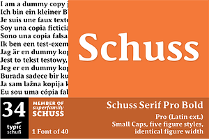 SchussSerifProBold No.34 1 Font