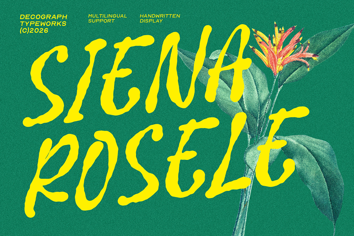 Siena Rosele – Handwritten Font, a Handwritten Font by decographstud (Photo 1 of 8)