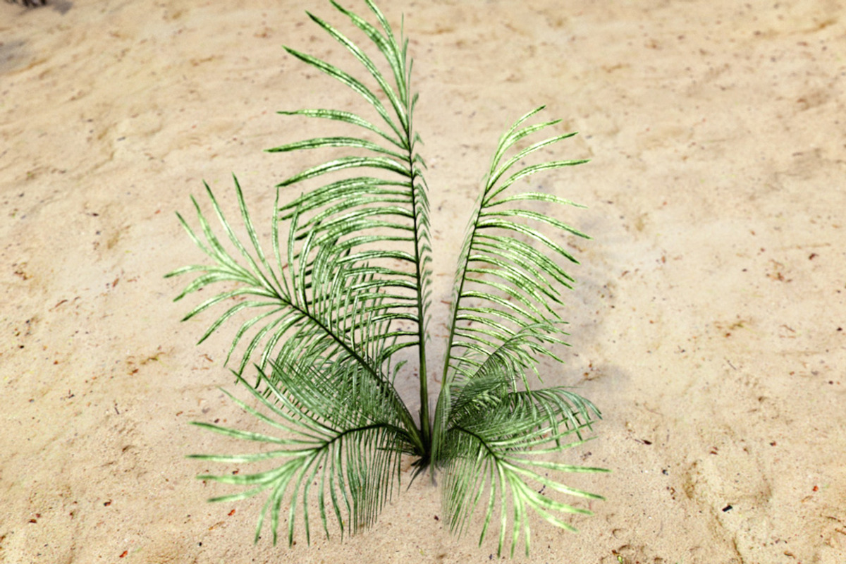 Plants Grass and Trees Pack, an Object 3D Model by RivermillStudios (Photo 4 of 5)