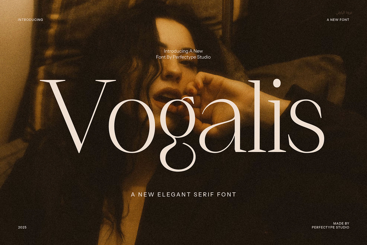 Vogalis Minimalist Serif Font, a Serif Font by Perfectype (Photo 1 of 8)