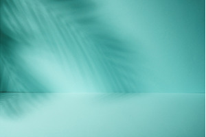 Blue background with palm shadows., an Abstract Photo by Nadia-nb