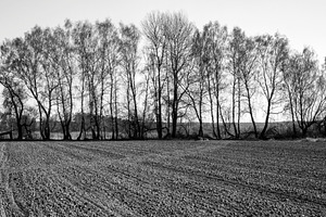 Plowing the land in spring, a Food & Drink Photo by Schreibikus