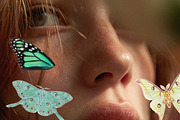 Butterflies Collection, an Object Graphic by Lana Elanor (Thumbnail 6 of 11)