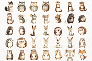 Watercolor Woodland Animals Clipart, an Animal Illustration by SugarCloudStudioArt (Thumbnail 8 of 9)