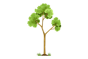 Stage of tree growth. Large, an Object Illustration by Things for designers