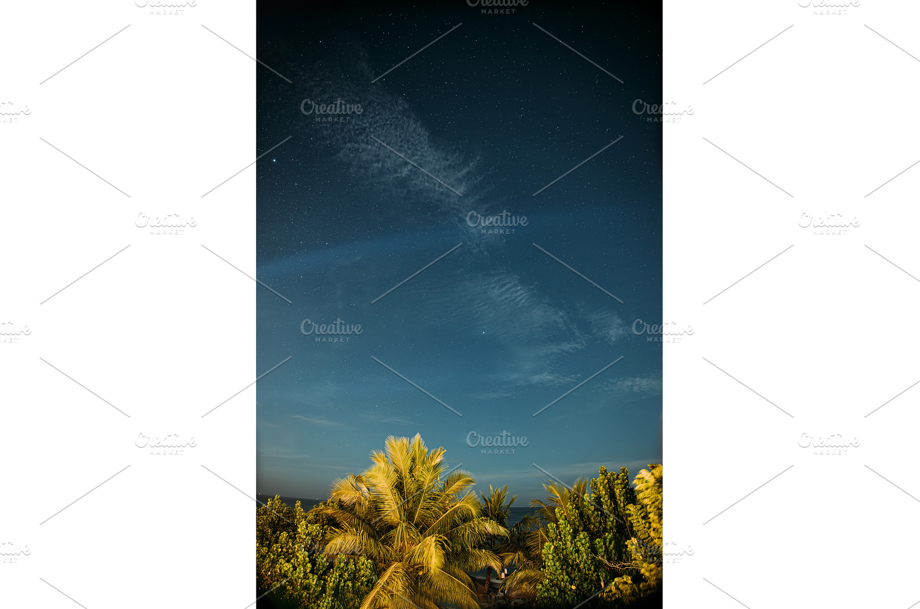 Starry Night Sky Over Lush Tropical, a Nature Photo by Our Amazing World